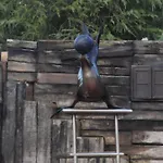 Casa Vacaciones Junto Al Parque De La Naturaleza De Cabarceno *