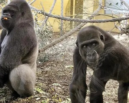 Feriehus Casa Vacaciones Junto Al Parque De La Naturaleza De Cabarceno