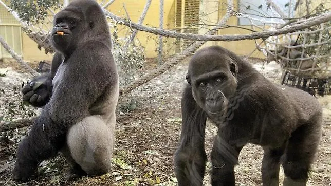 Holiday home Casa Vacaciones Junto Al Parque De La Naturaleza De Cabarceno